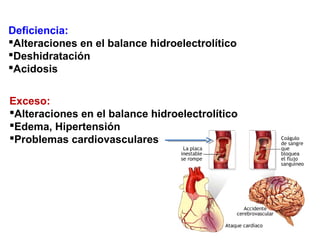 Deficiencia:
Alteraciones en el balance hidroelectrolítico
Deshidratación
Acidosis
Exceso:
Alteraciones en el balance hidroelectrolítico
Edema, Hipertensión
Problemas cardiovasculares
 