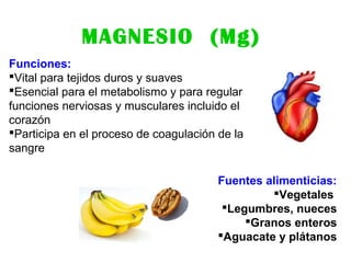 MAGNESIO (Mg)
Funciones:
Vital para tejidos duros y suaves
Esencial para el metabolismo y para regular
funciones nerviosas y musculares incluido el
corazón
Participa en el proceso de coagulación de la
sangre
Fuentes alimenticias:
Vegetales
Legumbres, nueces
Granos enteros
Aguacate y plátanos
 