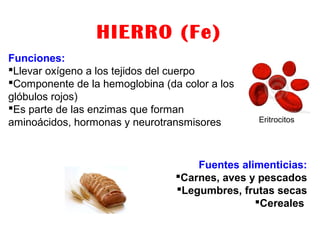 HIERRO (Fe)
Funciones:
Llevar oxígeno a los tejidos del cuerpo
Componente de la hemoglobina (da color a los
glóbulos rojos)
Es parte de las enzimas que forman
aminoácidos, hormonas y neurotransmisores
Fuentes alimenticias:
Carnes, aves y pescados
Legumbres, frutas secas
Cereales
Eritrocitos
 