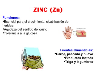 ZINC (Zn)
Funciones:
Esencial para el crecimiento, cicatrización de
heridas
Agudeza del sentido del gusto
Tolerancia a la glucosa
Fuentes alimenticias:
Carne, pescado y huevo
Productos lácteos
Trigo y legumbres
 