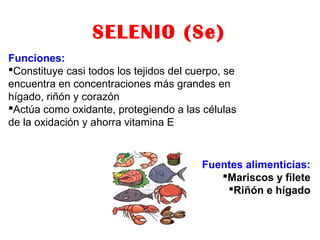 SELENIO (Se)
Funciones:
Constituye casi todos los tejidos del cuerpo, se
encuentra en concentraciones más grandes en
hígado, riñón y corazón
Actúa como oxidante, protegiendo a las células
de la oxidación y ahorra vitamina E
Fuentes alimenticias:
Mariscos y filete
Riñón e hígado
 