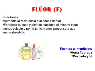 FLÚOR (F)
Funciones:
Aumenta la resistencia a la caries dental
Fortalece huesos y dientes haciendo el mineral óseo
menos soluble y por lo tanto menos propenso a que
sea reabsorbido
Fuentes alimenticias:
Agua fluorada
Pescado y té
 