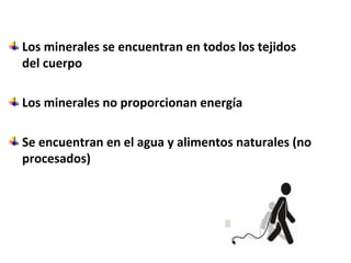 Los minerales se encuentran en todos los tejidos
del cuerpo
Los minerales no proporcionan energía
Se encuentran en el agua y alimentos naturales (no
procesados)
 