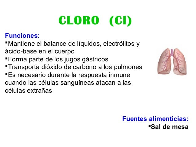 Cuales Son Las Funciones Del Cloro