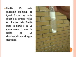  Halita: En esta 
reacción química, de 
igual forma se nota 
mucho a simple vista, 
el olor es más fuerte 
para la nariz y se ve 
claramente como la 
halita se va 
disolviendo en el agua 
destilada. 
 