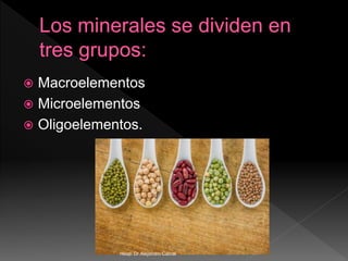  Macroelementos
 Microelementos
 Oligoelementos.
Hosp. Dr.Alejandro Cabral
 
