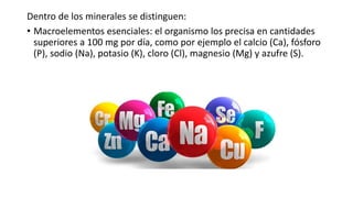 Dentro de los minerales se distinguen:
• Macroelementos esenciales: el organismo los precisa en cantidades
superiores a 100 mg por día, como por ejemplo el calcio (Ca), fósforo
(P), sodio (Na), potasio (K), cloro (Cl), magnesio (Mg) y azufre (S).
 