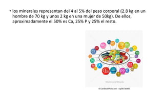 • los minerales representan del 4 al 5% del peso corporal (2.8 kg en un
hombre de 70 kg y unos 2 kg en una mujer de 50kg). De ellos,
aproximadamente el 50% es Ca, 25% P y 25% el resto.
 