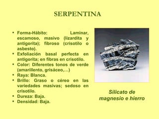 SERPENTINA Forma-Hábito: Laminar, escamoso, masivo (lizardita y antigorita); fibroso (crisotilo o asbesto). Exfoliación basal perfecta en antigorita; en fibras en crisotilo. Color: Diferentes tonos de verde (amarillento, grisáceo,…) Raya: Blanca. Brillo: Graso o céreo en las variedades masivas; sedoso en crisotilo. Dureza: Baja. Densidad: Baja. Silicato de magnesio e hierro 