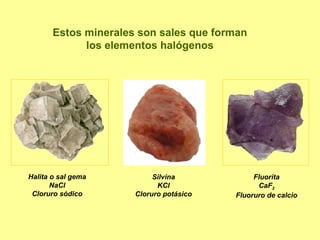 Estos minerales son sales que forman los elementos halógenos Halita o sal gema NaCl Cloruro sódico Silvina KCl Cloruro potásico Fluorita CaF 2 Fluoruro de calcio 