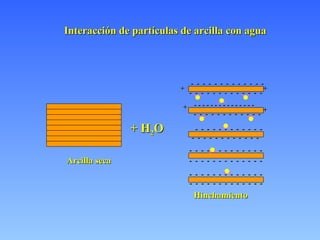 Interacción de partículas de arcilla con agua + H 2 O -  -  -  -  -  -  -  -  -  -  -  -  - -  -  -  -  -  -  -  -  -  -  -  -  - -  -  -  -  -  -  -  -  -  -  -  -  - -  -  -  -  -  -  -  -  -  -  -  -  - -  -  -  -  -  -  -  -  -  -  -  -  - -  -  -  -  -  -  -  -  -  -  -  -  - -  -  -  -  -  -  -  -  -  -  -  - -  -  -  -  -  -  -  -  -  -  -  - -  -  -  -  -  -  -  -  -  -  -  - - - - - - - - - - - - - - - -  + + + + Arcilla seca Hinchamiento 