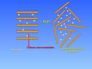 Cationes intercambiables + H 2 O Suspensión coloidal Viscosidad Plasticidad -  -  -  -  -  -  -  -  -  -  -  -  - -  -  -  -  -  -  -  -  -  -  -  -  - -  -  -  -  -  -  -  -  -  -  -  -  - -  -  -  -  -  -  -  -  -  -  -  -  - -  -  -  -  -  -  -  -  -  -  -  -  - -  -  -  -  -  -  -  -  -  -  -  -  - -  -  -  -  -  -  -  -  -  -  -  - -  -  -  -  -  -  -  -  -  -  -  - -  -  -  -  -  -  -  -  -  -  -  - - - - - - - - - - - - - - - -  