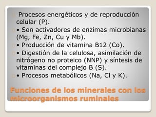 Funciones de los minerales con los
microorganismos ruminales
Procesos energéticos y de reproducción
celular (P).
• Son activadores de enzimas microbianas
(Mg, Fe, Zn, Cu y Mb).
• Producción de vitamina B12 (Co).
• Digestión de la celulosa, asimilación de
nitrógeno no proteico (NNP) y síntesis de
vitaminas del complejo B (S).
• Procesos metabólicos (Na, Cl y K).
 