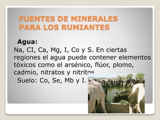 FUENTES DE MINERALES
PARA LOS RUMIANTES
Agua:
Na, CI, Ca, Mg, I, Co y S. En ciertas
regiones el agua puede contener elementos
tóxicos como el arsénico, flúor, plomo,
cadmio, nitratos y nitritos.
Suelo: Co, Se, Mb y I.
 