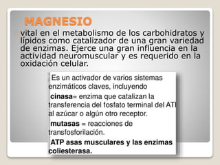 MAGNESIO
vital en el metabolismo de los carbohidratos y
lípidos como catalizador de una gran variedad
de enzimas. Ejerce una gran influencia en la
actividad neuromuscular y es requerido en la
oxidación celular.
 