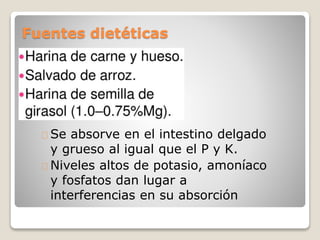Fuentes dietéticas
Se absorve en el intestino delgado
y grueso al igual que el P y K.
Niveles altos de potasio, amoníaco
y fosfatos dan lugar a
interferencias en su absorción
 