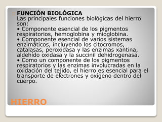 HIERRO
FUNCIÓN BIOLÓGICA
Las principales funciones biológicas del hierro
son:
• Componente esencial de los pigmentos
respiratorios, hemoglobina y mioglobina.
• Componente esencial de varios sistemas
enzimáticos, incluyendo los citocromos,
catalasas, peroxidasa y las enzimas xantina,
aldehído oxidasa y la succinil dehidrogenasa.
• Como un componente de los pigmentos
respiratorios y las enzimas involucradas en la
oxidación del tejido, el hierro es esencial para el
transporte de electrones y oxígeno dentro del
cuerpo.
 