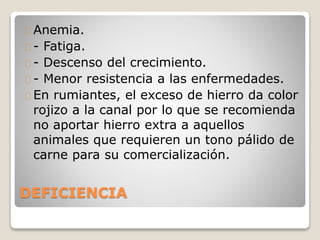 DEFICIENCIA
Anemia.
- Fatiga.
- Descenso del crecimiento.
- Menor resistencia a las enfermedades.
En rumiantes, el exceso de hierro da color
rojizo a la canal por lo que se recomienda
no aportar hierro extra a aquellos
animales que requieren un tono pálido de
carne para su comercialización.
 