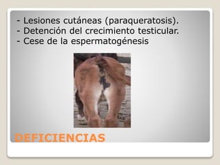 DEFICIENCIAS
- Lesiones cutáneas (paraqueratosis).
- Detención del crecimiento testicular.
- Cese de la espermatogénesis
 