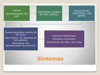 Síntomas
Diarrea
Queratinización del
pelo
Infertilidad, perdida
del celo, abortos.
Descenso del
crecimiento y del
apetito.
Puede presentarse anemia de
dos tipos:
Hipo anemia: Por descenso de
hemoglobina.
Macrocitica: Por
agrandamiento del eritrocito.
Fracturas espontaneas.
Descenso inmunitario.
Decoloración del pelo y de la lana
 