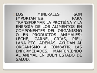 LOS MINERALES SON
IMPORTANTES PARA
TRANSFORMAR LA PROTEÍNA Y LA
ENERGÍA DE LOS ALIMENTOS EN
COMPONENTES DEL ORGANISMO
O EN PRODUCTOS ANIMALES:
LECHE, CARNE, CRÍAS, PIEL,
LANA ETC. ADEMÁS, AYUDAN AL
ORGANISMO A COMBATIR LAS
ENFERMEDADES, MANTENIENDO
AL ANIMAL EN BUEN ESTADO DE
SALUD.
 