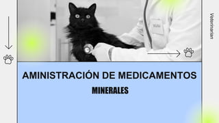 AMINISTRACIÓN DE MEDICAMENTOS
MINERALES
Veterinarian
 