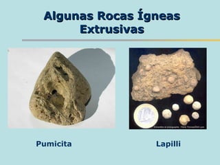 Algunas Rocas Ígneas Extrusivas Pumicita Lapilli 