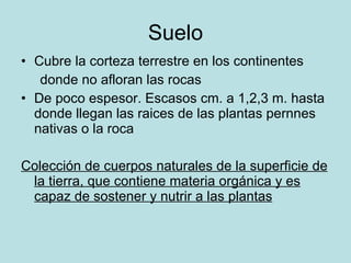 Suelo Cubre la corteza terrestre en los continentes donde no afloran las rocas De poco espesor. Escasos cm. a 1,2,3 m. hasta donde llegan las raices de las plantas pernnes nativas o la roca Colección de cuerpos naturales de la superficie de la tierra, que contiene materia orgánica y es capaz de sostener y nutrir a las plantas 