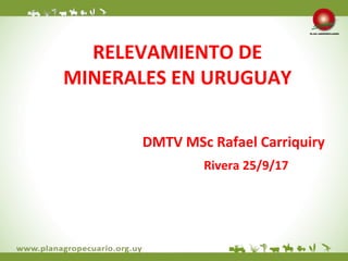 RELEVAMIENTO DE
MINERALES EN URUGUAY
DMTV MSc Rafael Carriquiry
Rivera 25/9/17
 