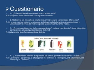 Cuestionario
 1.- ¿En la naturaleza los minerales se encuentran puros?
R:Si porque no están combinados con algún otro material.
 2.-Al observar los minerales a simple vista, al microscopio, ¿encontraste diferencias?
R: Sí ya que a simple vista no se alcanzan a distinguir detalladamente sus características y
viéndolos con la ayuda del microscopio se aprecia mejor su forma y color.
 3.- ¿Encuentras diferencias de formas geométricas?, ¿diferencias de color?, toma fotografías
con la cámara o baja algunas imágenes de la red.
R: Cada mineral tiene forma geométrica distinta:
 4.- ¿Los cristales se parecen a algunas de las formas geométricas del cartel, a cuáles?
R: Sí, el mineral 1 es rómbico, el 2 tetragonal, el 3 triclínico, el 4 tetragonal, el 5 ortorómbico, el 6
triclínico y el 7 rómbico.
 