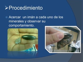 Procedimiento
 Acercar un imán a cada uno de los
minerales y observar su
comportamiento.
 