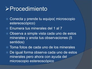 Procedimiento
 Conecta y prende tu equipo( microscopio
estereoscópico)
 Enumera tus minerales del 1 al 7
 Observa a simple vista cada uno de estos
minerales y anota tus observaciones (5
sentidos)
 Toma fotos de cada uno de los minerales
 De igual forma observa cada uno de estos
minerales pero ahora con ayuda del
microscopio estereoscópico
 