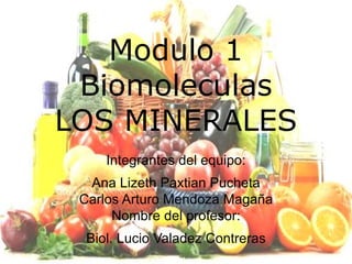 Modulo 1
Biomoleculas
LOS MINERALES
Integrantes del equipo:
Ana Lizeth Paxtian Pucheta
Carlos Arturo Mendoza Magaña
Nombre del profesor:
Biol. Lucio Valadez Contreras
 
