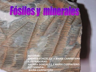AUTORAS: ANDREA GONZÁLEZ  Y MARÍA CARPINTERO ILUSTRADORAS: ANDREA GONZÁLEZ Y MARÍA CARPINTERO  FOTOGRAFIA: MARÍA CARPINTERO Fósiles y  minerales 