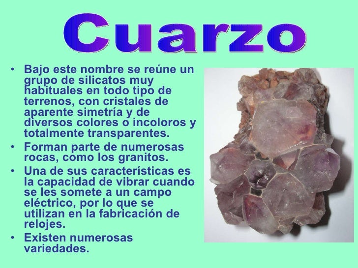 Minerales y fósiles