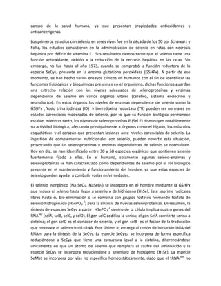 campo de la salud humana, ya que presentan propiedades antioxidantes y
anticancerígenas

Los primeros estudios con selenio en seres vivos fue en la década de los 50 por Schawarz y
Foltz, los estudios consistieron en la administración de selenio en ratas con necrosis
hepática por déficit de vitamina E. Sus resultados demostraron que el selenio tiene una
función antioxidante, debido a la reducción de la necrosis hepática en las ratas. Sin
embargo, no fue hasta el año 1973, cuando se comprobó la función reductora de la
especie SeCys2 presente en la enzima glutationa peroxidasa (GSHPx). A partir de ese
momento, se han hecho varios ensayos clínicos en humanos con el fin de identificar las
funciones fisiológicas y bioquímicas presentes en el organismo, dichas funciones guardan
una estrecha relación con los niveles adecuados de selenoproteínas y enzimas
dependiente de selenio en varios órganos vitales (cerebro, sistema endocrino y
reproductor). En estos órganos los niveles de enzimas dependiente de selenio como la
GSHPx , Yodo trina iodinasa (ID) y tiorredoxina reductasa (TR) pueden ser normales en
estados carenciales moderados de selenio, por lo que su función biológica permanece
estable, mientras tanto, los niveles de selenoproteínas P (Sel P) disminuyen notablemente
su actividad biológica, afectando principalmente a órganos como el hígado, los músculos
esqueléticos y el corazón que presentan lesiones ante niveles carenciales de selenio. La
ingestión de complementos nutricionales con selenio, pueden revertir esta situación,
provocando que las selenoproteínas y enzimas dependientes de selenio se normalicen.
Hoy en día, se han identificado entre 30 y 50 especies orgánicas que contienen selenio
fuertemente fijado a ellas. En el humano, solamente algunas seleno-enzimas y
selenoproteínas se han caracterizado como dependientes de selenio por el rol biológico
presente en el mantenimiento y funcionamiento del hombre, ya que estas especies de
selenio pueden ayudar a combatir varías enfermedades.

El selenio inorgánico (Na2SeO4, NaSeO3) se incorpora en el hombre mediante la GSHPx
que reduce el selenio hasta llegar a seleniuro de hidrógeno (H2Se), éste suprime radicales
libres hasta su bio-eliminación o se combina con grupos fosfatos formando fosfato de
selenio hidrogenado (HSePO3-2) para la síntesis de nuevas selenoproteínas. En resumen, la
síntesis de especies SeCys a partir HSePO3-2 dentro de la célula implica cuatro genes del
RNASec (selA, selB, selC, y selD). El gen selC codifica la serina; el gen SelA convierte serina a
cisteína; el gen selD es el donador de selenio, y el gen selB es el factor de la traducción
que reconoce el selenocisteil-tRNA. Este último lo entrega al codón de iniciación UGA del
RNAm para la síntesis de la SeCys. La especie SeCys2 se incorpora de forma específica
reduciéndose a SeCys que tiene una estructura igual a la cisteína, diferenciándose
únicamente en que un átomo de selenio que remplaza al azufre del aminoácido y la
especie SeCys se incorpora reduciéndose a seleniuro de hidrógeno (H2Se). La especie
SeMet se incorpora por vías no específica homeostáticamente, dado que el tRNA Met no
 