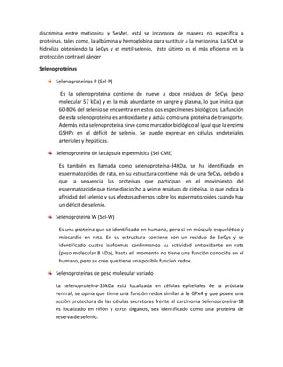 discrimina entre metionina y SeMet, está se incorpora de manera no específica a
proteínas, tales como, la albúmina y hemoglobina para sustituir a la metionina. La SCM se
hidroliza obteniendo la SeCys y el metil-selenio, éste último es el más eficiente en la
protección contra el cáncer

Selenoproteinas

       Selenoproteínas P (Sel-P)

        Es la selenoproteína contiene de nueve a doce residuos de SeCys (peso
        molecular 57 kDa) y es la más abundante en sangre y plasma, lo que indica que
        60-80% del selenio se encuentra en estos dos especímenes biológicos. La función
        de esta selenoproteína es antioxidante y actúa como una proteína de transporte.
        Además esta selenoproteína sirve como marcador biológico al igual que la enzima
        GSHPx en el déficit de selenio. Se puede expresar en células endoteliales
        arteriales y hepáticas.

       Selenoproteína de la cápsula espermática (Sel CME)

        Es también es llamada como selenoproteína-34KDa, se ha identificado en
        espermatozoides de rata, en su estructura contiene más de una SeCys, debido a
        que la secuencia las proteínas que participan en el movimiento del
        espermatozoide que tiene dieciocho a veinte residuos de cisteína, lo que indica la
        afinidad del selenio y sus efectos adversos sobre los espermatozoides cuando hay
        un déficit de selenio.

       Selenoproteína W (Sel-W)

        Es una proteína que se identificado en humano, pero si en músculo esquelético y
        miocardio en rata. En su estructura contiene con un residuo de SeCys y se
        identificado cuatro isoformas confirmando su actividad antioxidante en rata
        (peso molecular 8 kDa), hasta el momento no tiene una función conocida en el
        humano, pero se cree que tiene una posible función redox.

       Selenoproteínas de peso molecular variado

       La selenoproteína-15kDa está localizada en células epiteliales de la próstata
       ventral, se opina que tiene una función redox similar a la GPx4 y que posee una
       acción protectora de las células secretoras frente al carcinoma Selenoproteína-18
       es localizado en riñón y otros órganos, sea identificado como una proteína de
       reserva de selenio.
 
