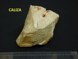 CALIZA
 
