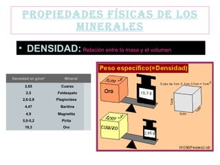 PROPIEDADES FÍSICAS DE LOS MINERALES DENSIDAD:   Relación entre la masa y el volumen Oro   19,3 Pirita   5,0-5,2 Magnetita   4,9 Baritina 4,47 Plagioclasa   2,6-2,8 Feldespato 2,5 Cuarzo 2,65 Mineral Densidad en g/cm 3 