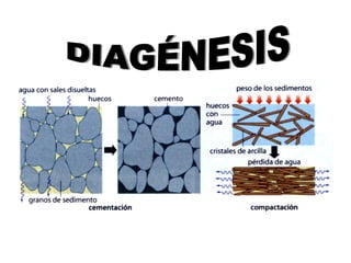 DIAGÉNESIS 