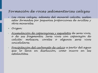 Formación de rocas sedimentarias calizas
● Las rocas calizas, además del mineral calcita, suelen
estar formadas por pequeñas proporciones de arcillas y
otros minerales.
● Origen:
✗ Acumulación de caparazones y esqueletos de seres vivos,
o de sus fragmentos. Seres vivos con caparazón de
calcita: moluscos, corales o algunos seres vivos
unicelulares.
✗ Precipitación del carbonato de calcio a partir del agua
que lo lleva en disolución, como ocurre en las
estalactitas.
 