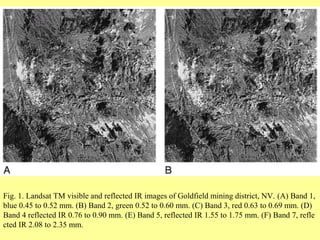 Fig. 1. Landsat TM visible and reflected IR images of Goldfield mining district, NV. (A) Band 1,
blue 0.45 to 0.52 mm. (B) Band 2, green 0.52 to 0.60 mm. (C) Band 3, red 0.63 to 0.69 mm. (D)
Band 4 reflected IR 0.76 to 0.90 mm. (E) Band 5, reflected IR 1.55 to 1.75 mm. (F) Band 7, refle
cted IR 2.08 to 2.35 mm.
 