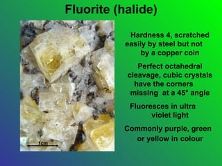 Fluorite (halide)
                  Hardness 4, scratched
                 easily by steel but not
                      by a copper coin
                    Perfect octahedral
                 cleavage, cubic crystals
                   have the corners
                  missing at a 45° angle
                  Fluoresces in ultra
                        violet light
                Commonly purple, green
                  or yellow in colour
1cm
 