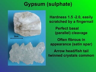 Gypsum (sulphate)

              Hardness 1.5 -2.0, easily
              scratched by a fingernail
                 Perfect basal
                 (parallel) cleavage
2cm
                  Often fibrous in
               appearance (satin spar)
                 Arrow head/fish tail
              twinned crystals common
 