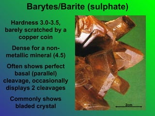 Barytes/Barite (sulphate)
  Hardness 3.0-3.5,
barely scratched by a
     copper coin
 Dense for a non-
metallic mineral (4.5)
 Often shows perfect
    basal (parallel)
cleavage, occasionally
 displays 2 cleavages
  Commonly shows
   bladed crystal              2cm
 