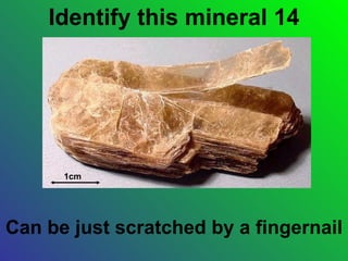 Identify this mineral 14




      1cm




Can be just scratched by a fingernail
 