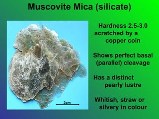 Muscovite Mica (silicate)

                 Hardness 2.5-3.0
                scratched by a
                    copper coin

               Shows perfect basal
                (parallel) cleavage

               Has a distinct
                  pearly lustre

        2cm
                Whitish, straw or
                 silvery in colour
 