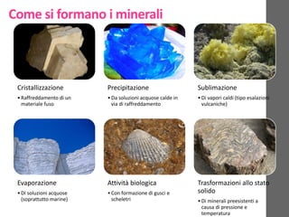Come si formano i minerali
Cristallizzazione
•Raffreddamento di un
materiale fuso
Precipitazione
•Da soluzioni acquose calde in
via di raffreddamento
Sublimazione
•Di vapori caldi (tipo esalazioni
vulcaniche)
Evaporazione
•Di soluzioni acquose
(soprattutto marine)
Attività biologica
•Con formazione di gusci e
scheletri
Trasformazioni allo stato
solido
•Di minerali preesistenti a
causa di pressione e
temperatura
 