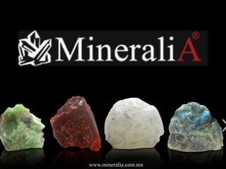 www.mineralia.com.mx
 