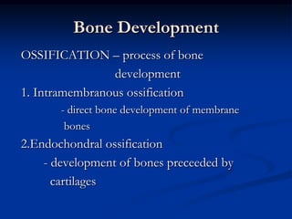 Blood Vessel-with nutrient arteries and veinsMedullary cavity-marrow cavity of bonesMembranePeriosteum-covers the entire outer surface of each bone except in epiphysesEndosteum     - innermost covering of bones
